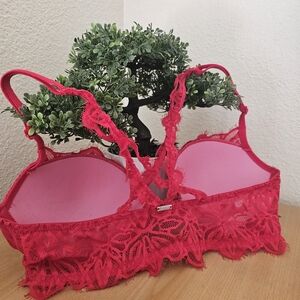 PINK Victoria's Secret Red Lace Bra